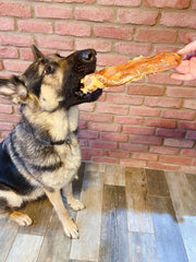 Big Chomper - Natural Dog Treat Selection Box for Larger Dogs - The Doggy Deli