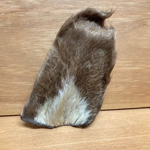 Goat Ear with Fur Chew - The Doggy Deli
