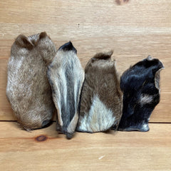 Goat Ear with Fur Chew - The Doggy Deli