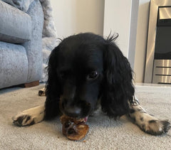 Little Chomper - The Big Box for Smaller Dogs! Natural Dog Treat Selection Box - The Doggy Deli