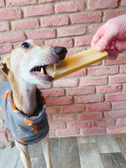 Yak Snack Cheese Dog Chew - The Doggy Deli