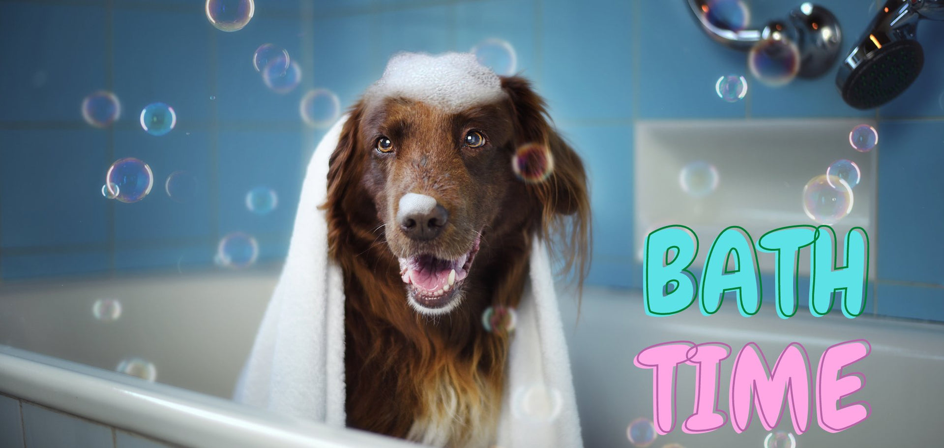 Dog Grooming | The Doggy Deli