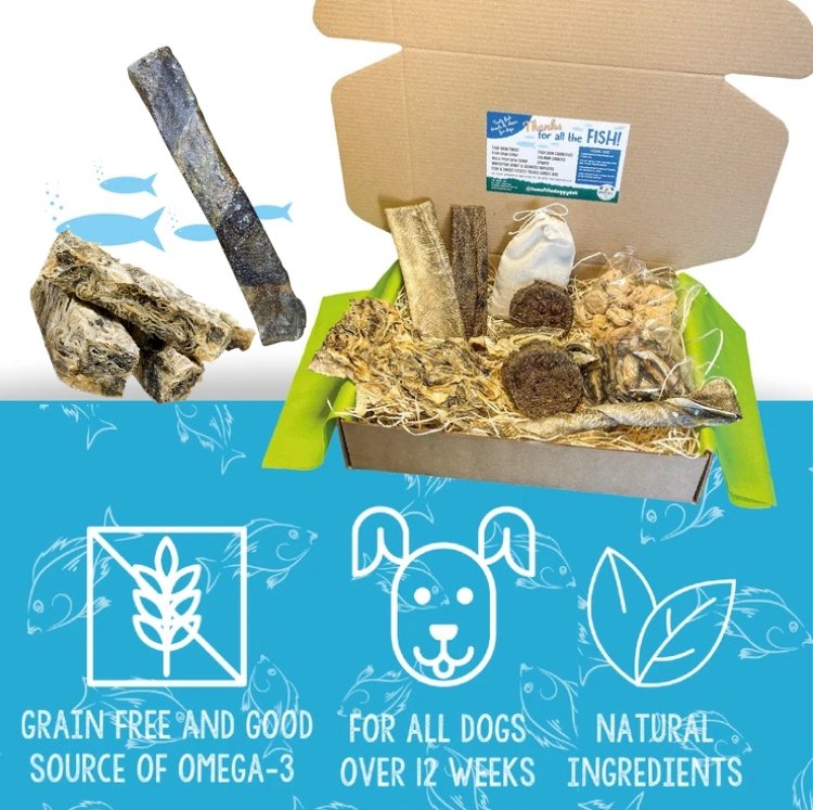 Fish Treat Selection Box and Fish Treats | The Doggy Deli