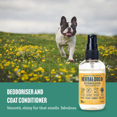 Baby Powder Natural Dog Cologne Perfume Spray 100ml - The Doggy Deli