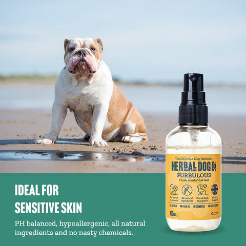Baby Powder Natural Dog Cologne Perfume Spray 100ml - The Doggy Deli