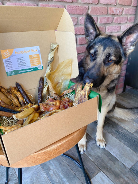 Boredom Box - Natural Dog Treat Selection Box