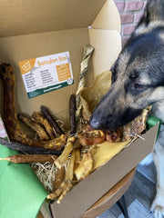 Boredom Box - Natural Dog Treat Selection Box - The Doggy Deli