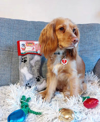 Father Pugmas Woofmas Stocking - Natural Dog Treats Christmas Stocking - The Doggy Deli