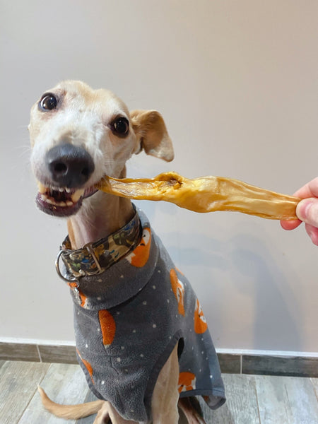 Flavourful Rabbit Ear Chew