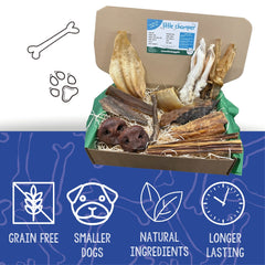 Little Chomper - The Big Box for Smaller Dogs! Natural Dog Treat Selection Box - The Doggy Deli