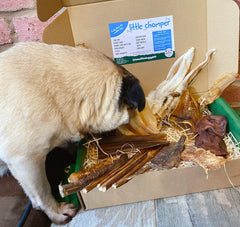 Little Chomper - The Big Box for Smaller Dogs! Natural Dog Treat Selection Box - The Doggy Deli