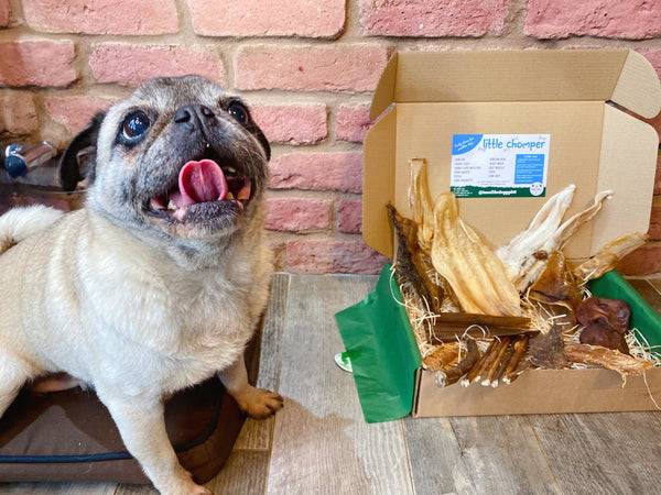 Little Chomper - The Big Box for Smaller Dogs! Natural Dog Treat Selection Box