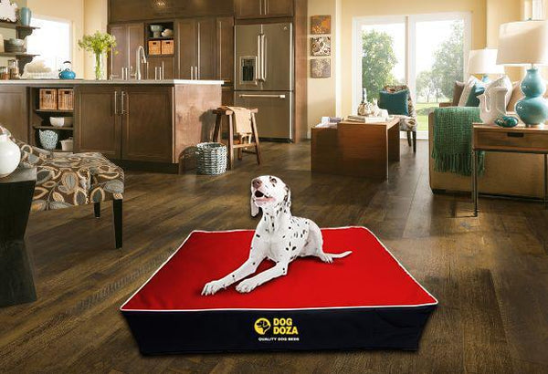 Orthopaedic Dog Bed 100% Memory Foam Chunky 5