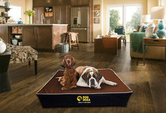 Orthopaedic Dog Bed 100% Memory Foam Chunky 5" Mattress (5 colours) - The Doggy Deli