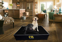 Orthopaedic Dog Bed 100% Memory Foam Chunky 5" Mattress (5 colours) - The Doggy Deli