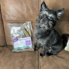 Natural Dog Treats Puppy Pack