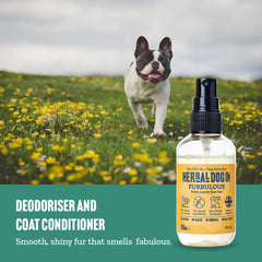 Rhubarb and Rose Natural Dog Cologne Perfume Spray 100ml - The Doggy Deli