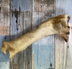 Rolled Beef Skin with Fur Dog Chew Treat - The Doggy Deli