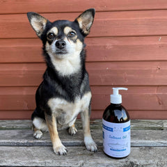 Salmon Oil Natural Supplement For Dogs - The Doggy Deli
