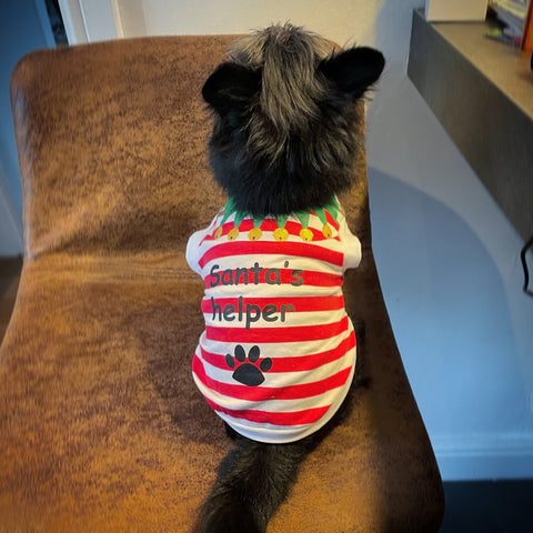 Santa's Little Helper - Christmas Dog T-Shirt - The Doggy Deli