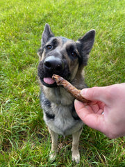 Scrumptious Chicken Necks Treat for Dogs 100g - The Doggy Deli