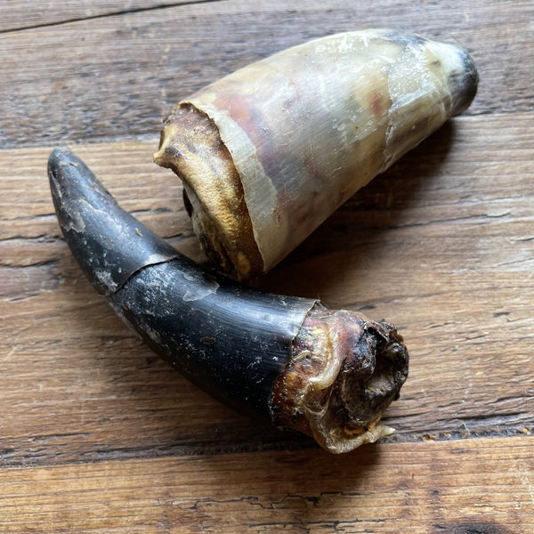 Small Beef Horns For Smaller Dogs (2pcs)