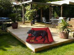 Comfy Handmade Dog Beds