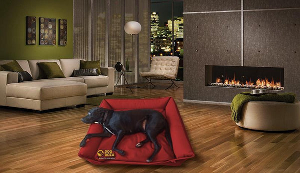 Waterproof Sofa Dog Bed