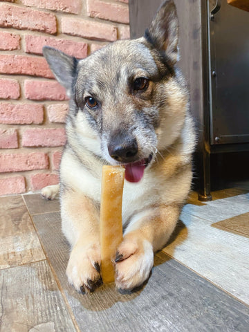 Yak Snack Cheese Dog Chew - The Doggy Deli