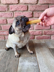 Yak Snack Cheese Dog Chew - The Doggy Deli